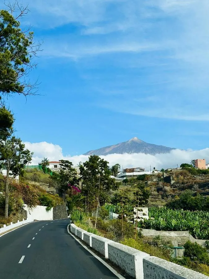 Apartment Blue Monis With Amazing Views Icod De Los Vinos